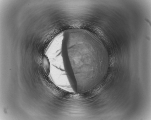 X0000102500365200808291716