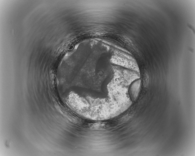 X0000102500366200808291716