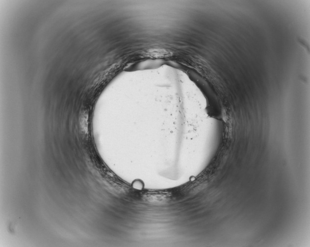 X0000102500368200808291716