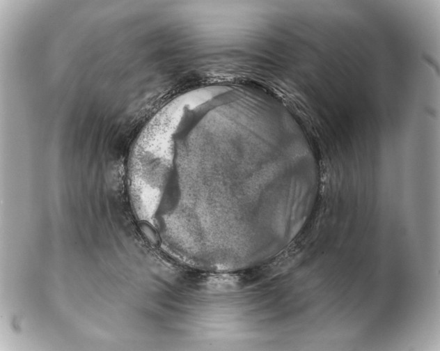 X0000102500369200808291716