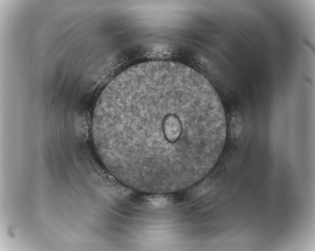 X0000102500370200808291716