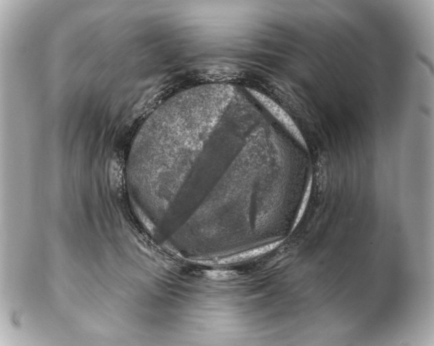 X0000102500371200808291716