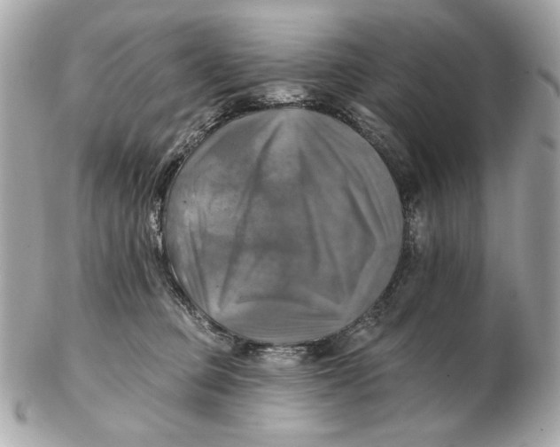 X0000102500373200808291716