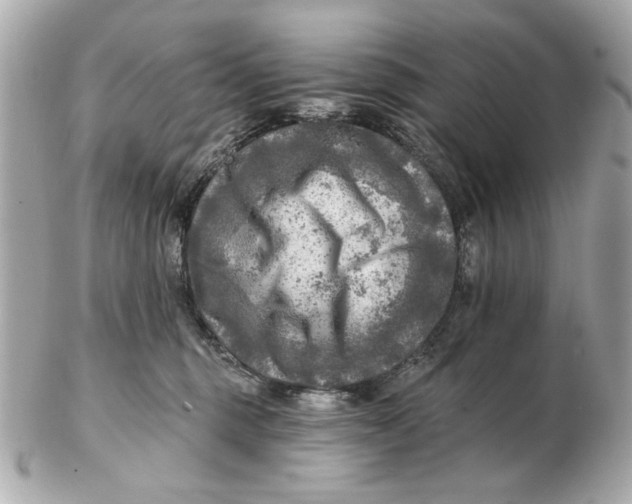 X0000102500375200808291717