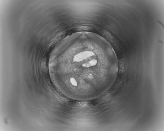 X0000102500377200808291717