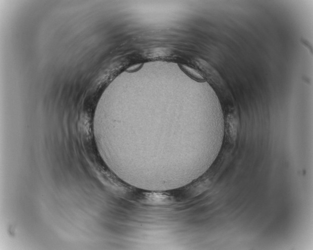 X0000102500380200808291717