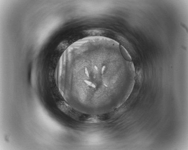 X0000102500381200808291717