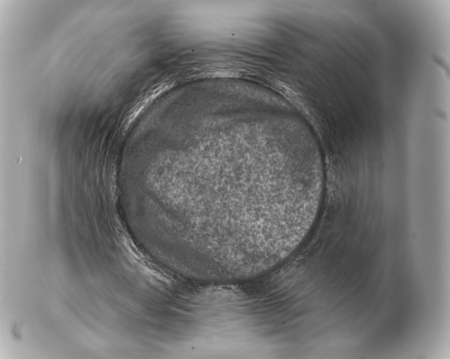 X0000102500386200808291716