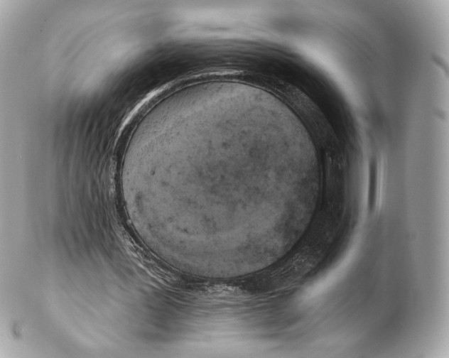 X0000102500387200808291716