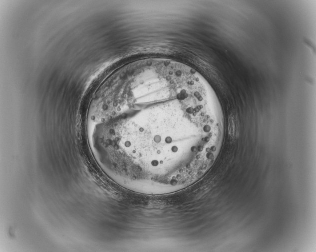 X0000102500388200808291716