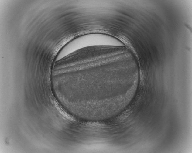 X0000102500389200808291716