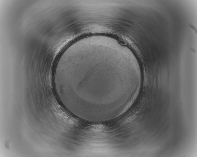 X0000102500391200808291716