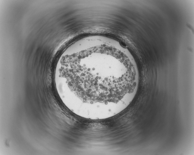 X0000102500392200808291716