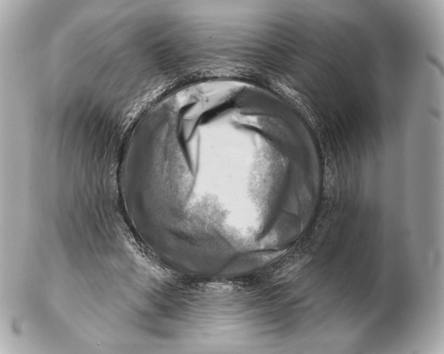 X0000102500394200808291716