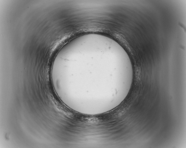 X0000102500395200808291716