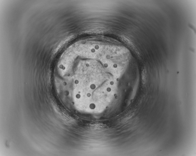 X0000102500396200808291716