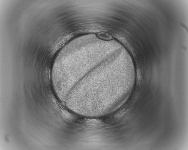 X0000102500397200808291716