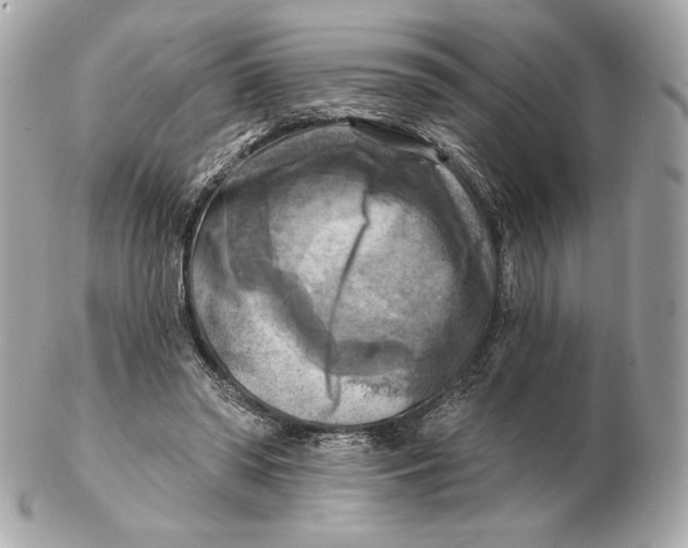 X0000102500398200808291716