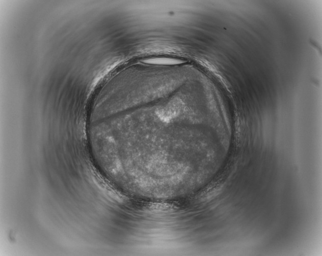 X0000102500399200808291716