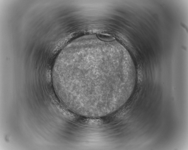 X0000102500401200808291716