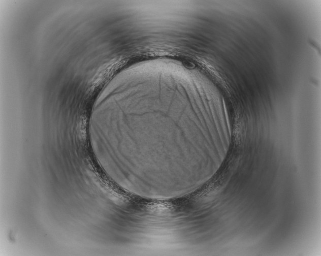 X0000102500402200808291716