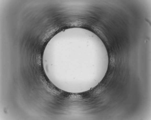 X0000102500403200808291716