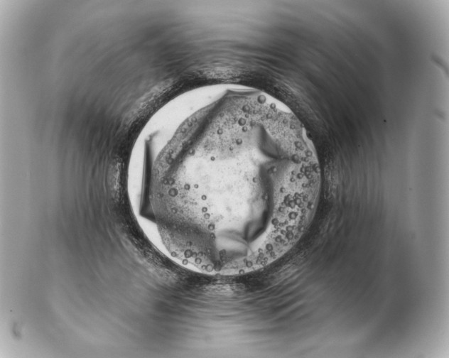 X0000102500404200808291716