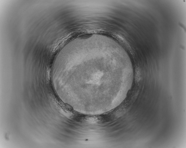 X0000102500405200808291716