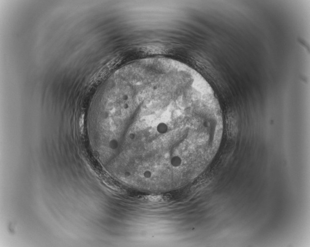 X0000102500406200808291716