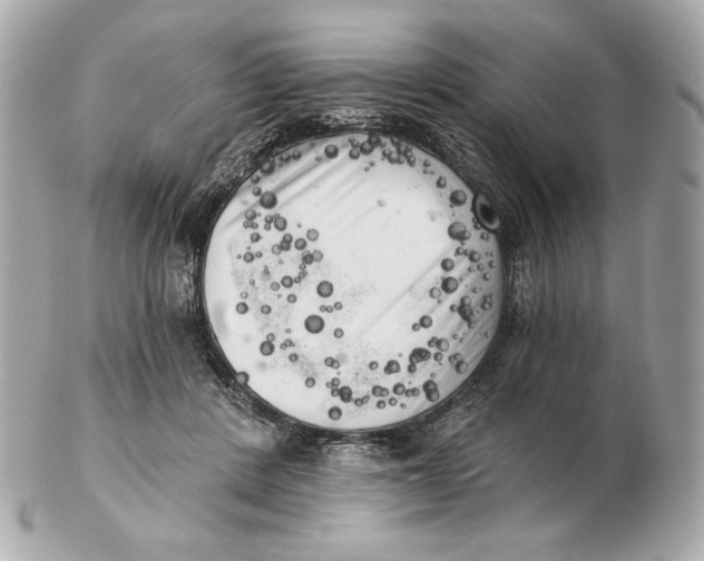 X0000102500408200808291716