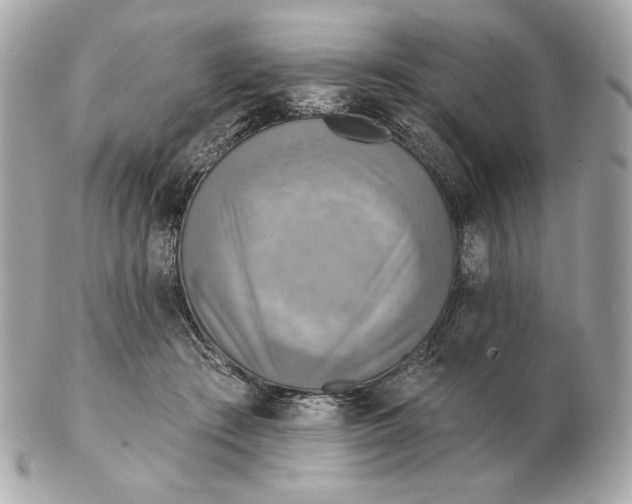 X0000102500409200808291716