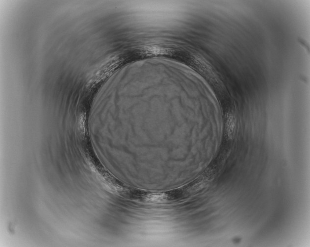 X0000102500410200808291716