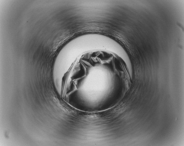 X0000102500411200808291716