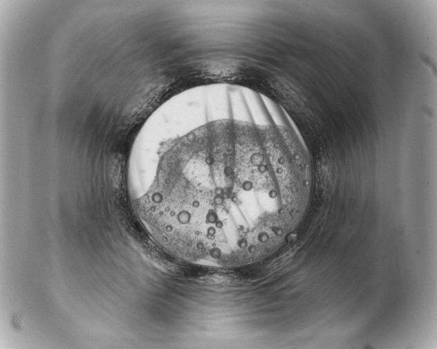 X0000102500412200808291716