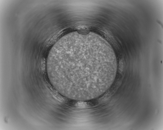 X0000102500413200808291716