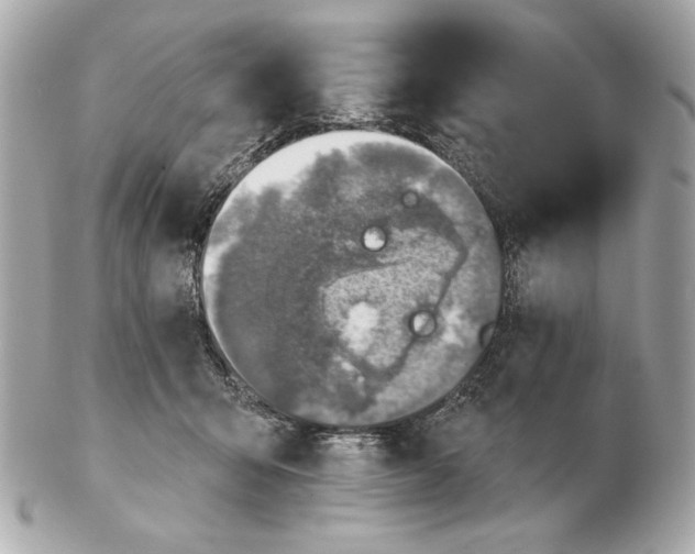 X0000102500415200808291716