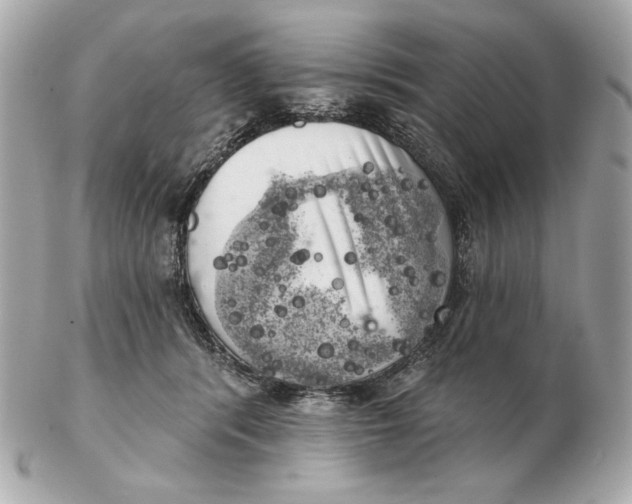 X0000102500416200808291716