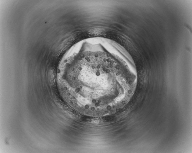 X0000102500420200808291716