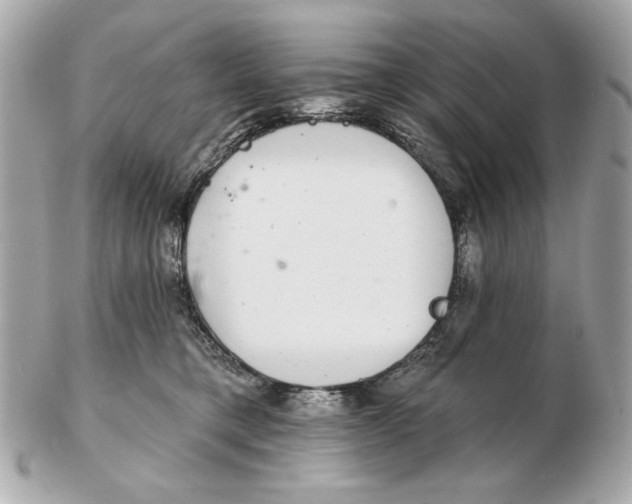 X0000102500421200808291715