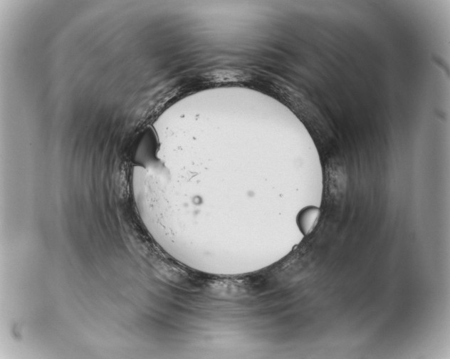 X0000102500422200808291715