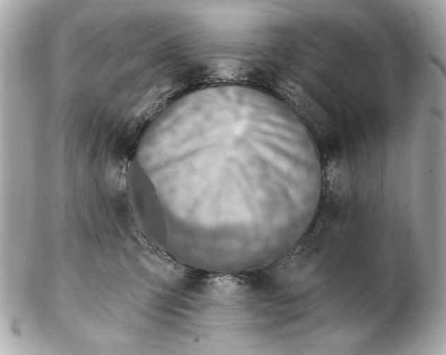 X0000102500423200808291715