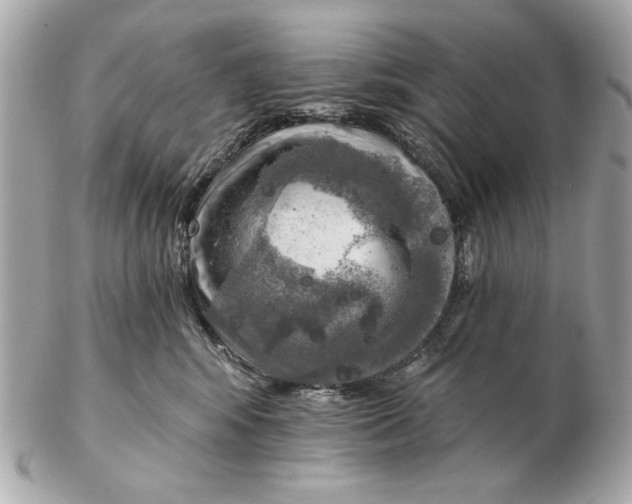 X0000102500424200808291715