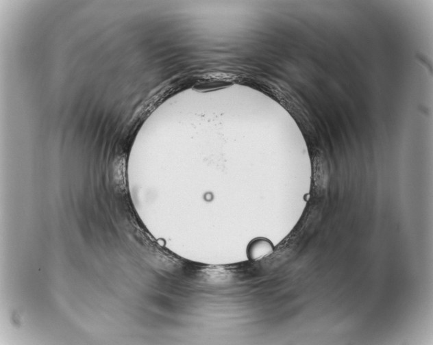 X0000102500425200808291715