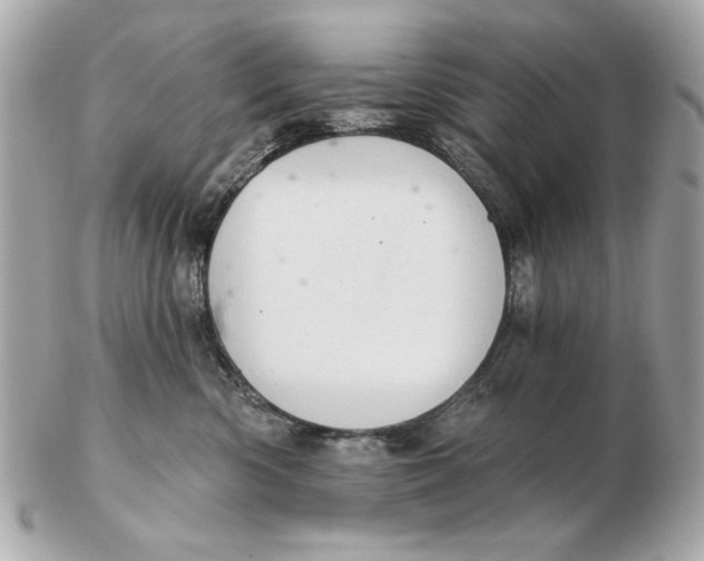 X0000102500426200808291715