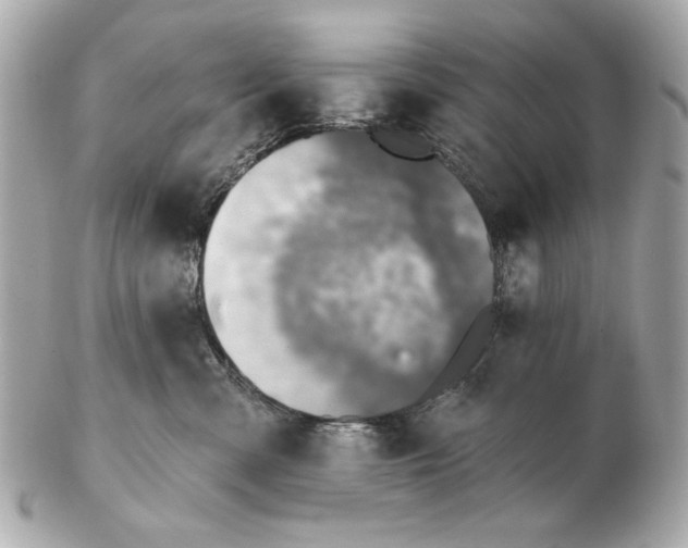 X0000102500427200808291715