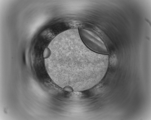 X0000102500429200808291715