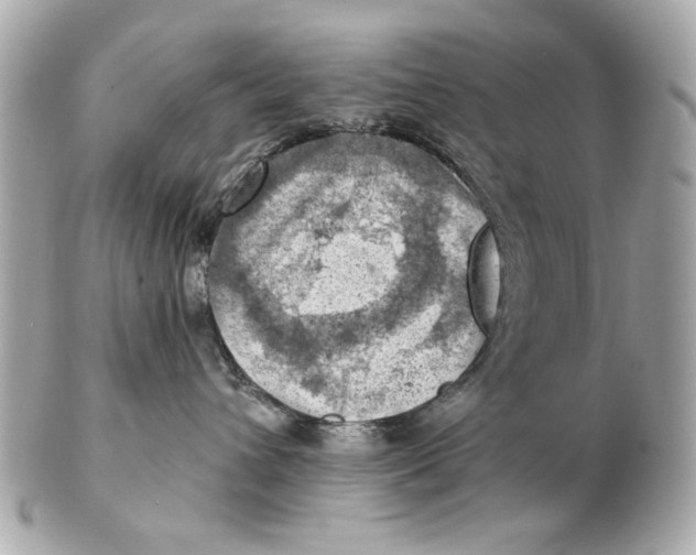 X0000102500432200808291715