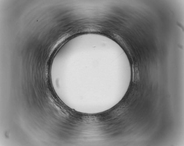 X0000102500435200808291715