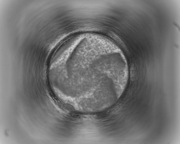 X0000102500436200808291715