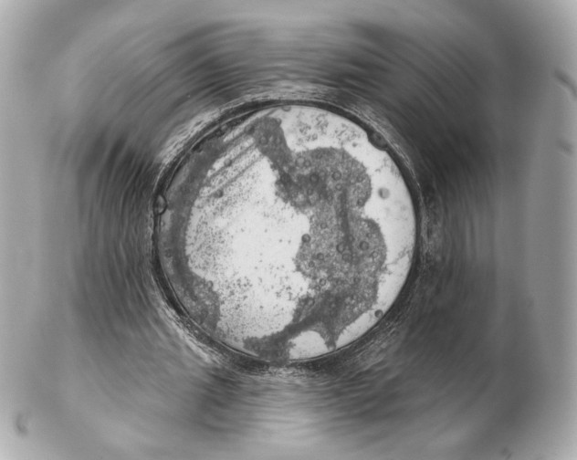 X0000102500437200808291715